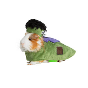 Frankenstein Groom Costume - Thrills & Chills™ Small Animal Monster